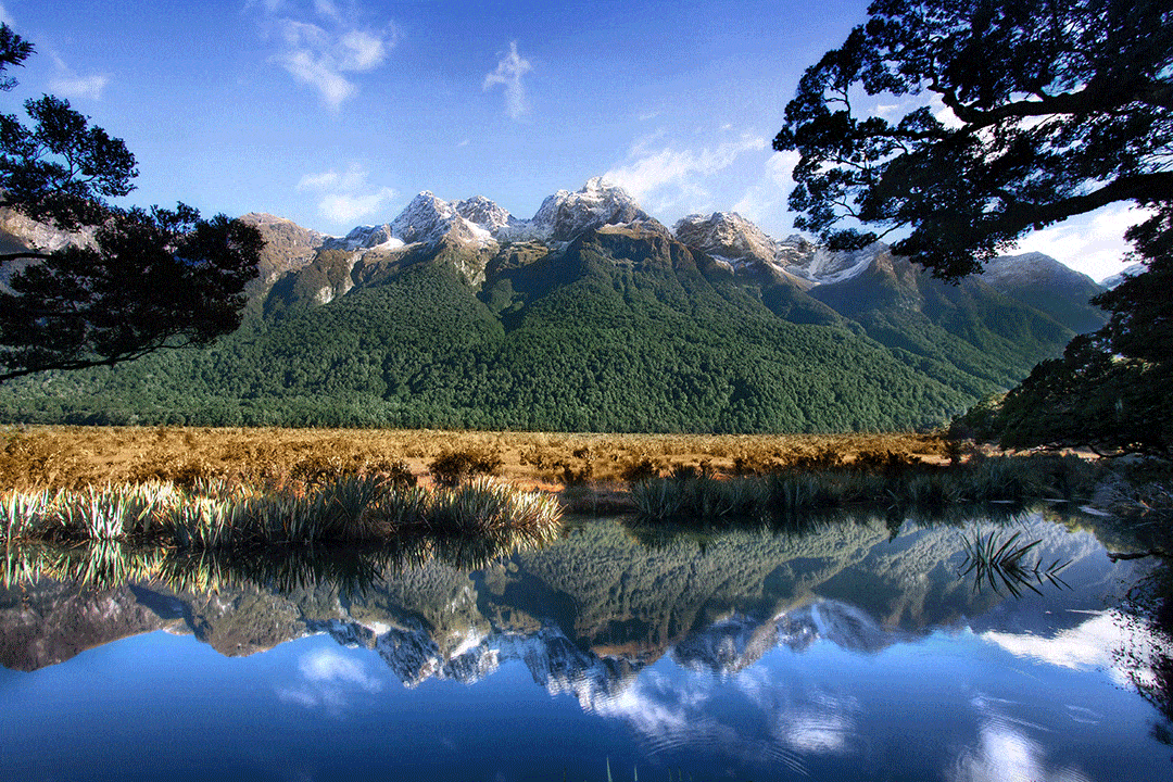 6 mete da sogno per una perfetta luna di miele |Nuova Zelanda