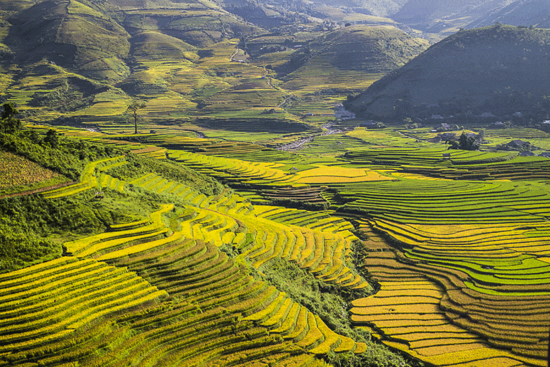 10 fra i luoghi più spettacolari del mondo | Vietnam