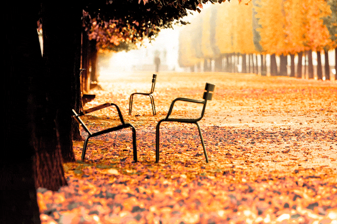 Colori autunno Parigi