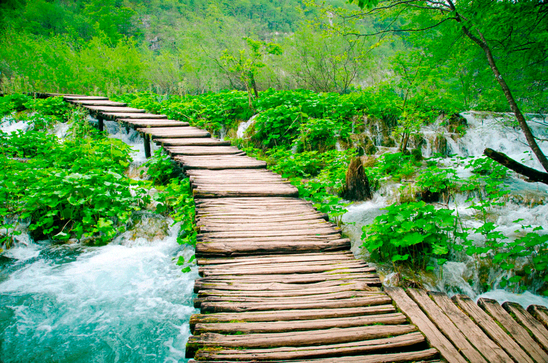 I Laghi di Plitvice, un paradiso naturale in Croazia 