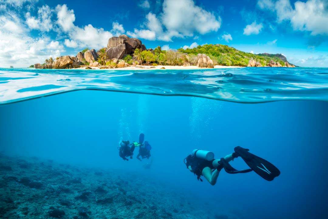 Isole Seychelles: un paradiso per gli amanti delle immersioni