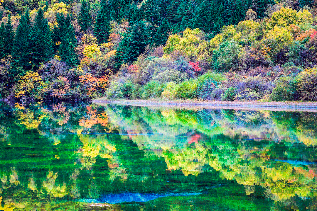 Foliage, dove ammirare la bellezza dell’autunno