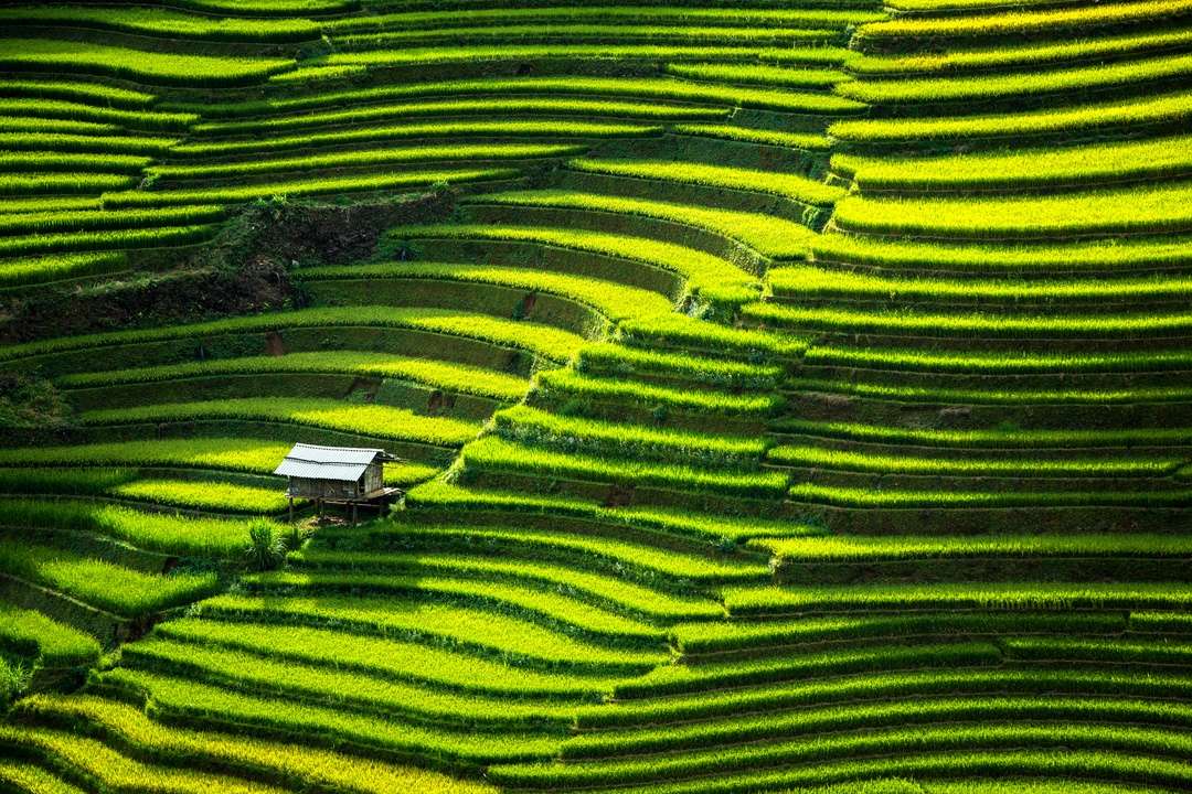 Consigli utili per organizzare un viaggio in Vietnam