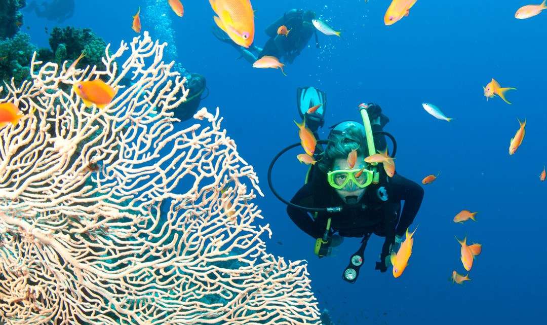 13 consigli per praticare immersioni subacquee in sicurezza