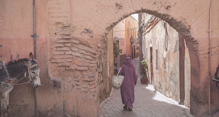 Usi e costumi 