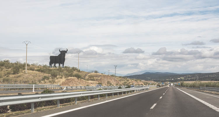 Regolamento strade