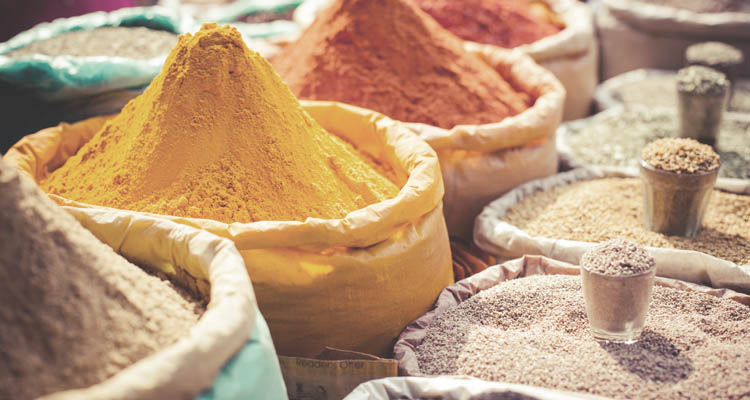 Situazione sanitaria e alimentazione